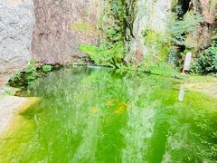 -雁荡山风景名胜区