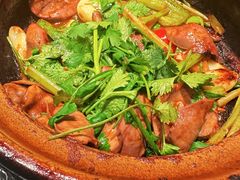 -煲煲好(朝阳门店)
