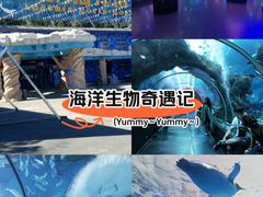 -洛阳龙门海洋馆