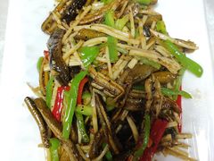 -丁老爷子苏香圆