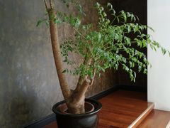 -北京民族园葉子里酒店(鸟巢店)