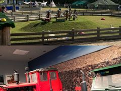 -前小桔亲子创意农场·草莓采摘·露营烧烤