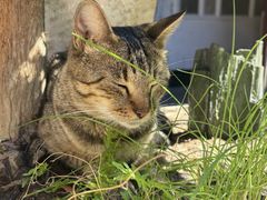 -普陀山慧济禅寺