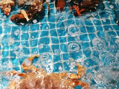 -香山湖家家宴(中山陵店)