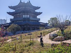 -江心屿景区