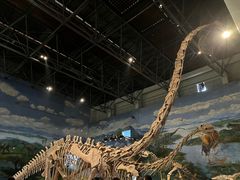 -自贡恐龙博物馆