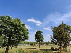 -嘉北郊野公园