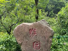 -十里画廊
