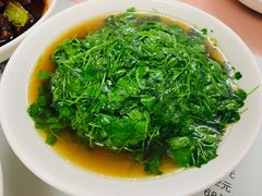 草头-蘭心餐厅(进贤路店)