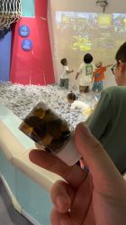 -Eureka优瑞卡儿童主题乐园(合生汇购物中心店)