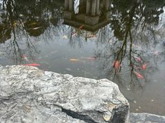 -青岛鑫江温德姆酒店