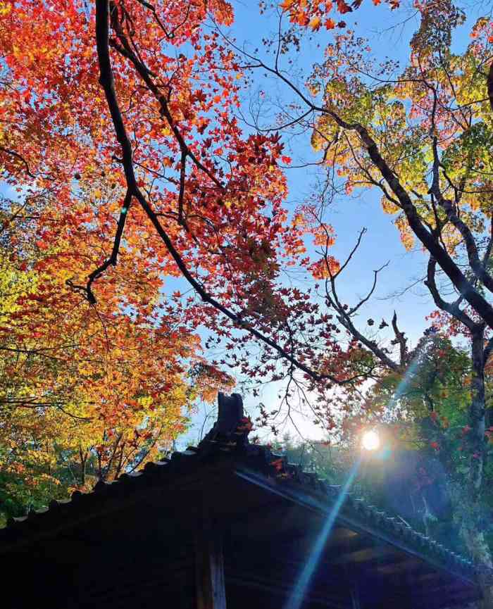 瑞宝寺公园-"一个小众的景点 就在我们酒店旁边 步行.