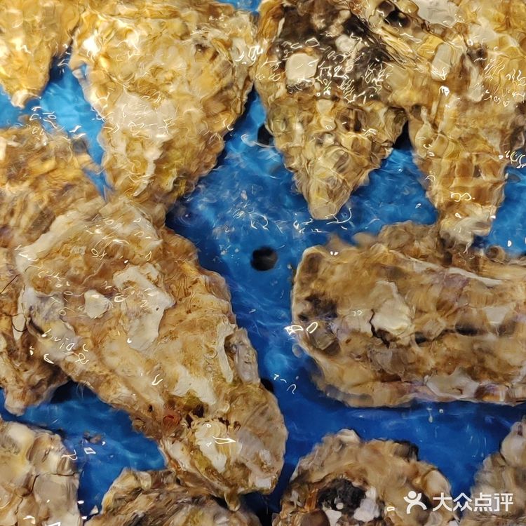 每座城镇独有的色彩