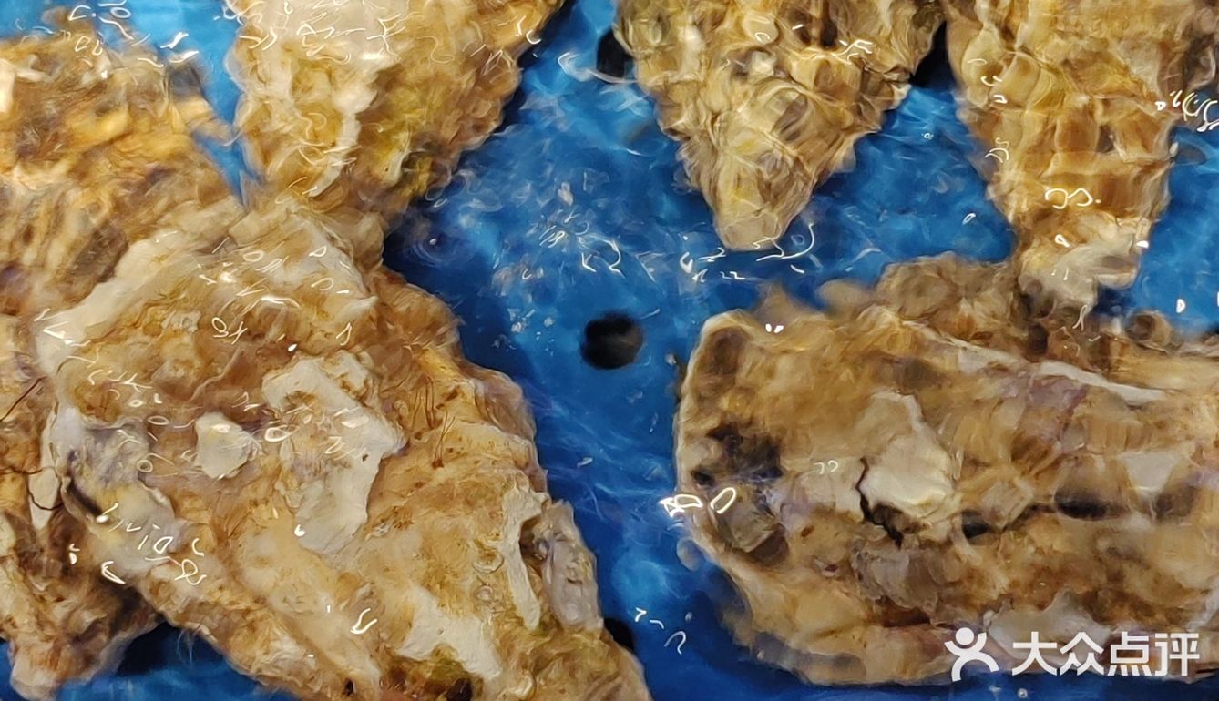 每座城镇独有的色彩