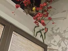 -春天来了(印象新天地店)