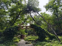 -沈阳植物园