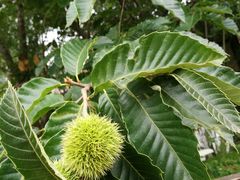 -金石唐风国际温泉会馆