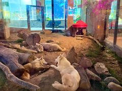 -大连森林动物园