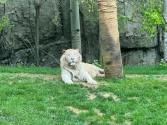 -北京野生动物园