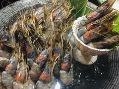 -松岛日本料理(汾江路店)
