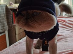 -猫的天空之城概念书店(苏州诚品店)