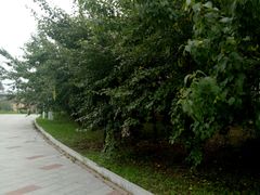 -哈尔滨太平湖温泉酒店