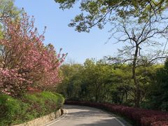 -南京市江宁方山
