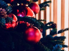 -新加坡乌节希尔顿酒店 (SG Clean)