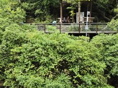 -阿哈湖国家湿地公园