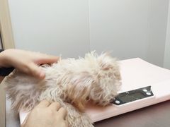 -爱诺耐芙动物医院(万博店)