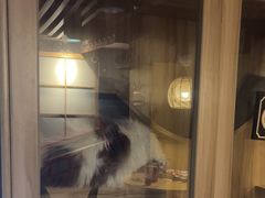 -白兔子密室(长寿路店)