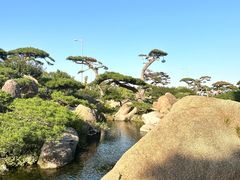 -罗红摄影艺术馆