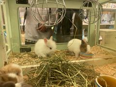 -龙猫仔乐园(惠福东路店)