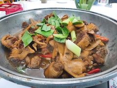 老姜炒自养土鸡-天怡·鱼工厂(梅溪湖店)