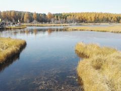 -塞罕坝国家级自然保护区