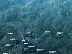 -蝶舞清江·恩施地心谷景区