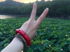 -西湖天地