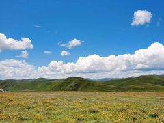 -康定跑马山风景区