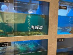 -享月汤皇·海鲜小火锅·聚会(曲江创意谷店)