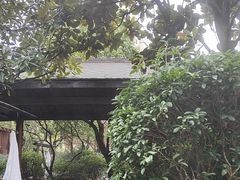 -万象温泉景区