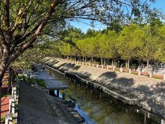 -大望京公园