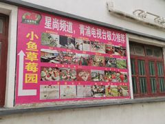 -小鱼草莓采摘园农家乐·小鱼餐厅
