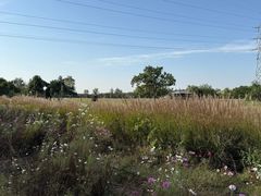 -汉长安城未央宫国家考古遗址公园