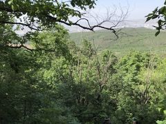 -帽儿山国家森林公园