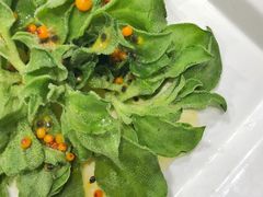 爽口冰菜-九十九顶毡房(阜石路店)