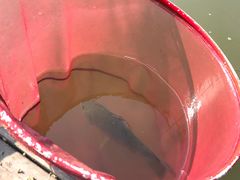 -酷鱼垂钓CLUB(朝阳区博大路店 )