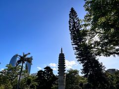 -南普陀寺