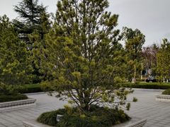 -狼山风景名胜区