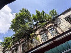 -恒兴发茶店(水巷口店)