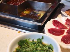 -红鼎坊·老成都火锅(新南门店)